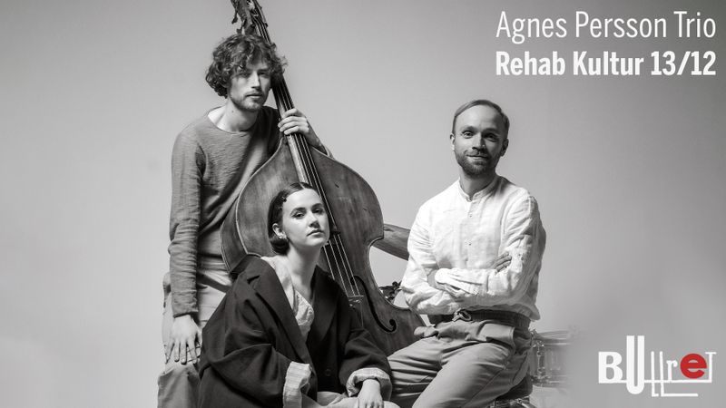 Bandbild för Agnes Persson Trio