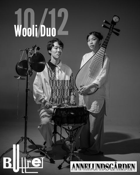 Bandbild för Wooli Duo